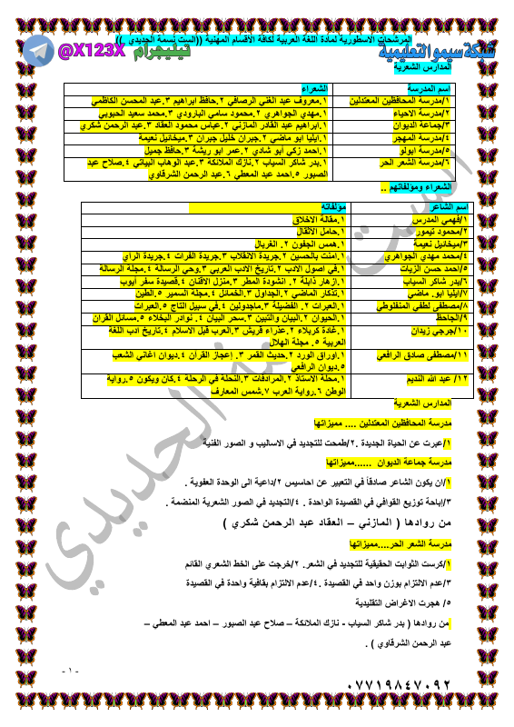مرشحات اللغة العربية - الأستاذ نسمة الحديدي - السادس المهني 2027