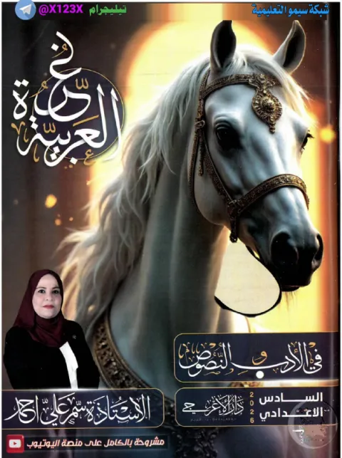 ملزمة الأدب - الأستاذ سمر علي - السادس الأدبي 2027